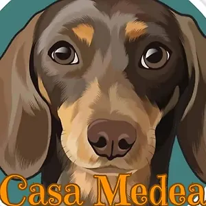  Appartamento Casa Medea